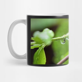 Shiny dew drop with image of a leaf Mug